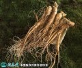 2021年2月28日边条参价格行情、...