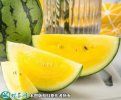 2021年3月1日特小凤西瓜价格行情...