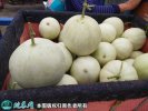 2021年3月3日玉菇甜瓜价格行情、...