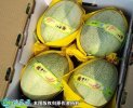 2021年3月3日晓蜜25号价格行情...