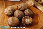 2021年3月4日光面菇价格行情、今...