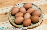 2021年3月5日红蛋价格行情、今日...