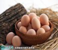 2021年3月5日虫草蛋价格行情、今...