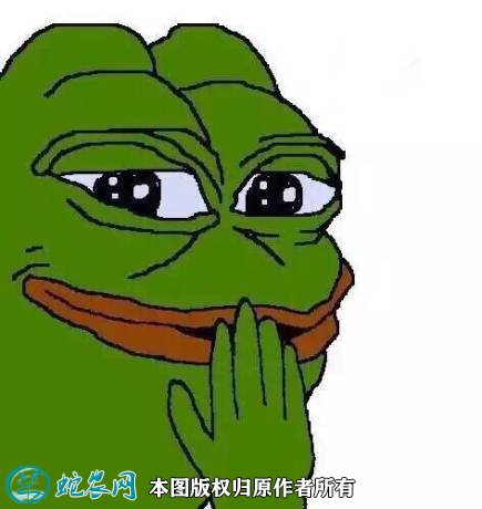 新的一天绿青蛙图片包呢我没事苦的绿青蛙图片风骚的绿青蛙图片好可爱