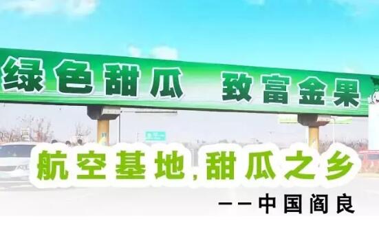 2020年11月6日阎良甜瓜价格行情、今日阎良甜瓜多少钱一斤?