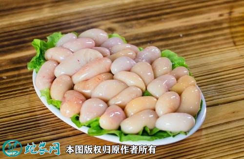 2020年10月14日鸡子价格行情、今日鸡子多少钱一斤?