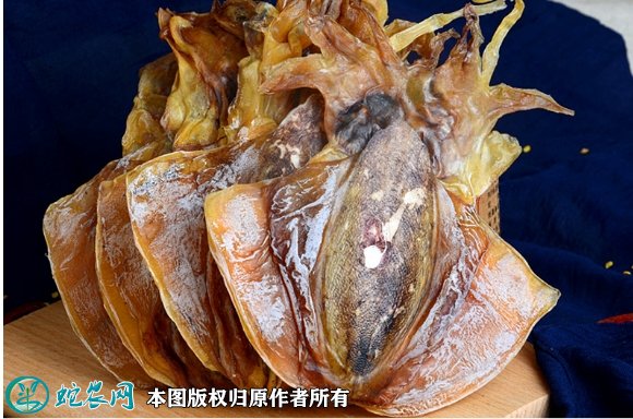 2021年8月29日北海墨鱼价格行情、今日北海乌贼多少钱一斤?