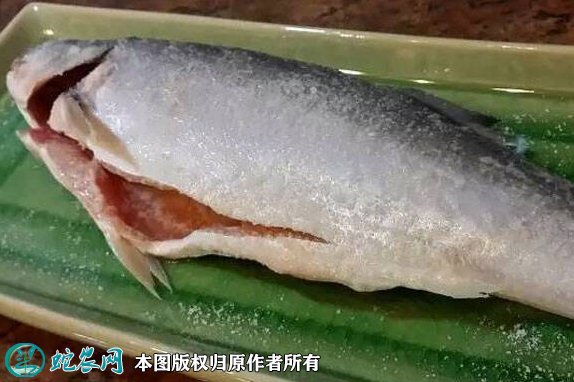 2021年8月29日马友鱼价格行情、今日四指马鲅鱼多少钱一斤?