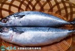 2021年8月29日马鲛鱼价格行情、...