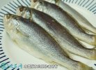 2021年8月30日白姑鱼价格行情、...