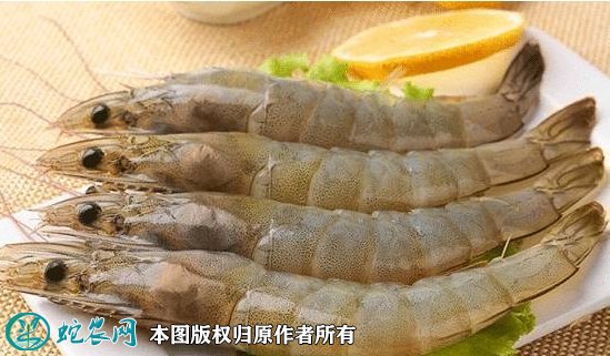 2021年8月31日中国对虾价格行情、今日东方对虾多少钱一斤？