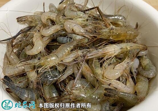 2021年8月31日河虾价格行情、今日青虾多少钱一斤？