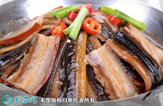 2021年9月1日黄鳝价格行情、今日各种鳝鱼多少钱一斤?
