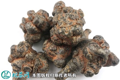 20210913年月最新黑三七价格行情走势图