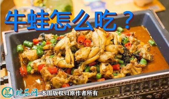 牛蛙怎么吃图1