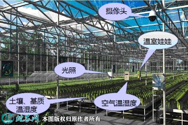 农业物联网图片9