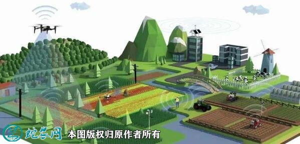 农业物联网图片10