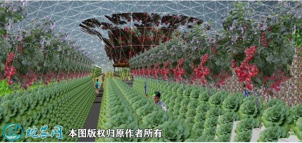 农业示范园图片5