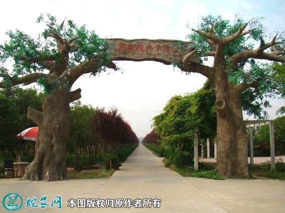 农业示范园图片10