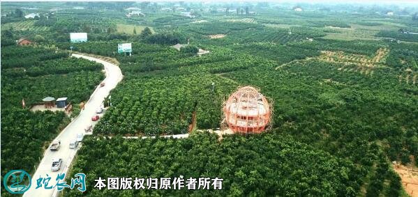 农业示范园图片11