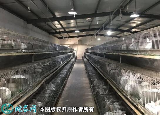 养兔场图片