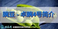 豌豆新品种：卓豌4号简介